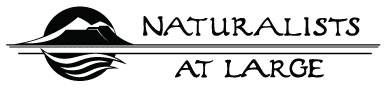 Naturalists at Large is a leading outdoor and environmental education group in California.