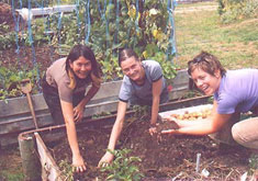 Sweating in the Sunshine: WWOOF New Zealand
