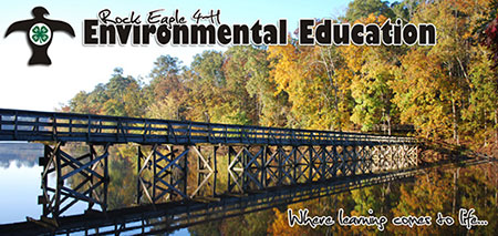 Rock Eagle 4-H Environmental Education Program: explore learning in the great outdoors!
