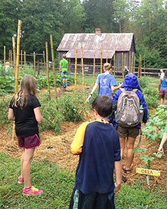 Rock Eagle 4-H started a garden program that is providing fresh and wholesome food for the dining hall.