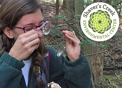 Shaver's Creek Environmental Education Interns become an integral part of the staff and participate in all aspects of the center's operation. Shaver's Creek Environmental Education Interns become an integral part of the staff and participate in all aspects of the center's operation.