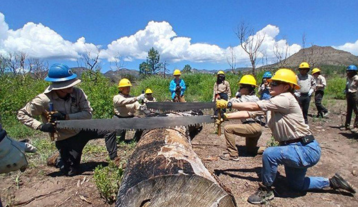 CCNM's Adult Field Crew program engages motivated young adults to complete challenging and impactful conservation service projects throughout southern New Mexico.