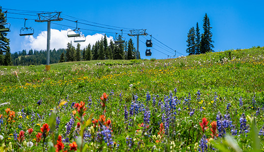 Each summer, the mountain transforms into a playground for hikers, mountain bikers, and anyone seeking a genuine Colorado experience.