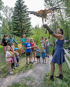 Through training, individual research, and guiding, Naturalists develop a deep knowledge of local ecology, environmental issues, human history, and the physical landscape.