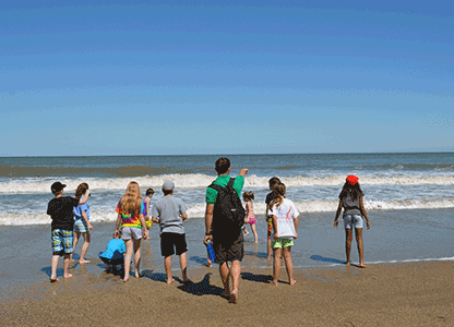 Make the beach and marsh your new classroom as an Environmental Educator with Burton 4-H Center on Tybee Island! Make the beach and marsh your new classroom as an Environmental Educator with Burton 4-H Center on Tybee Island!