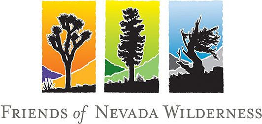 Friends of Nevada Wilderness is dedicated to preserving all qualified Nevada public lands as wilderness, protecting all present and potential wilderness from ongoing threats, informing the public about the values of and need for wilderness, and restoring and improving the management of wild lands.