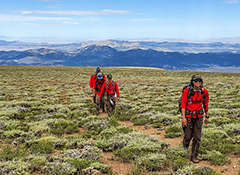 Spend your summer exploring Nevada’s vast and little-known wilderness areas while having an adventure of a lifetime.