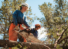 As part of a Conservation Crew, you will engage in paid environmental, wilderness, and climate projects.