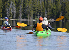 National Park trained Naturalist/Level Three ACA certified Kayak Guides are the top guides/kayakers in their fields and guide guests through these amazing ecosystems in an intelligent, humble, fun and safety-conscious way.